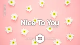 Nice To You - Vibe Tracks | Royalty Free Music - No Copyright Music | YouTube Music