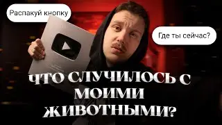 Уехал из России? | Где мои животные? | Кнопка YouTube