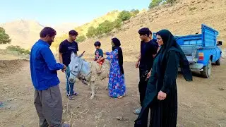 Building a Beautiful Platform and Welcoming Our New Donkey on the Farm!