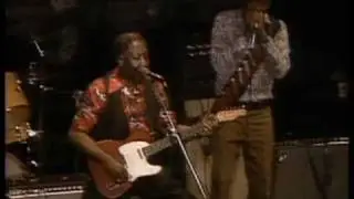 Muddy Waters - I'm A King Bee - ChicagoFest 1981