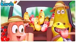 A Trip full of Memories🚗Larva Cartoons -Larva Full Episode🐛мультфильмы для детей💥мультики на русском