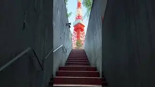Instagrammable Tokyo Tower Photo Spot