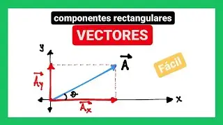 Componentes rectangulares de un vector | Qué son y cómo hallarlas