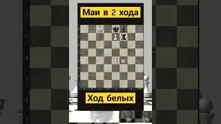 Задача 36 Telegram: Albinachess 