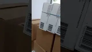 22 июня 2023 г.
