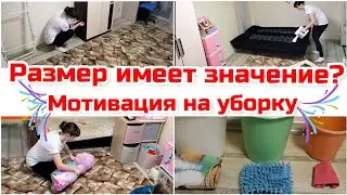 Размер имеет значение?/ Уборка в зале/ Чистота и порядок!  Мотивация на уборку. Любимый Василек.