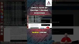 Курс #linux с нуля до #devops / #devnet инженера. Команда ls с опциями и аргументами