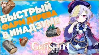 СУПЕР БЫСТРЫЙ ФАРМ ДЕРЕВА В ИНАДЗУМЕ ДЛЯ  КРАФТА НОВОЙ МЕБЕЛИ ИЗ ИНАДЗУМЫ В GENSHIN IMPACT 2.2
