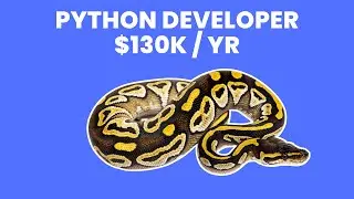 What is the role of a Python Developer ? | Career Guide - Job Description - Responsibilities