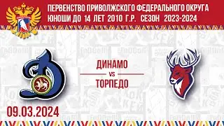 ДИНАМО vs ТОРПЕДО 2010 09.03.2024.