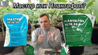 Плантофол или Мастер - что лучше? Когда какое удобрение применять.