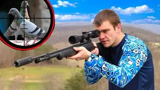 Scope Cam Hunting Pigeons with Suppressed Pellet Gun!