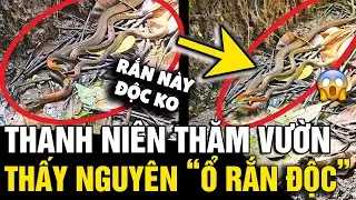 Quay ĐÀN RẮN ở phía sau vườn nhà: Người bảo rắn KHÔNG ĐỘC, người nói THẦY CHÙA ĐỌC |Tin Nhanh 3 Phút