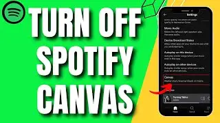 How To Turn On Spotify Canvas (QUICK Guide)