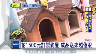 花1500元訂製狗屋　成品送來超傻眼｜三立新聞台