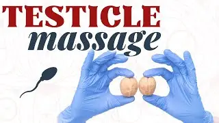 Testicle Massage - Improve Sperm Production and Hormones