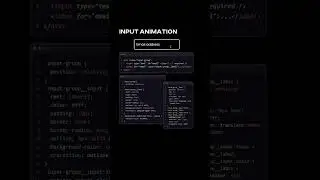 input animation | #css #javascript #webdevelopment #animation