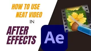 Quick Start Guide for Neat Video in After Effects