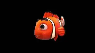 Clown Fish
