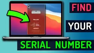 How to Find the Model and Serial Number on Mac ...Really Quickly!