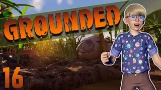 Ziplines and the Sandbox | Grounded