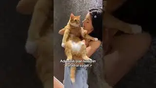 Adı Minik Olan Kedimin ✨Sıfad-ül Eşgali✨