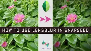 How to Use Lensblur to Blur Background in Snapseed | Snapseed Tutorials