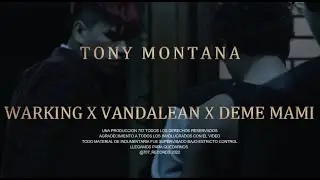 Tony Montana - Warking X Vandalean X Deme Mami (Prod. 707) Vídeo Oficial