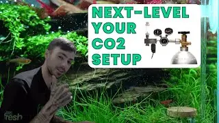 How to SETUP a CO2 PRO REGULATOR