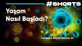 Yaşam Nasıl Başladı? - Cevapsız Büyük Sorular 1 