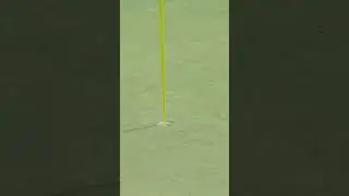 Gary Woodland’s first career hole-in-one at the Par 3 Contest. 
