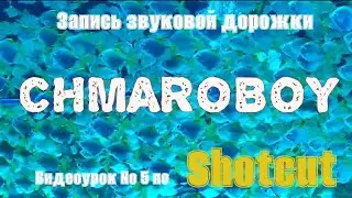 Запись звуковой дорожки в программе Shotcut.