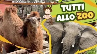 Gita allo ZOO di napoli con Versi animali fattoria