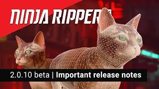 Ninja Ripper 2.0.10 beta  | Release Notes