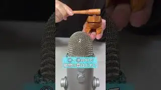 偽物探しのASMR