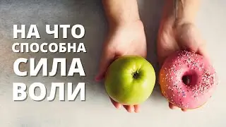 На что способна сила воли?