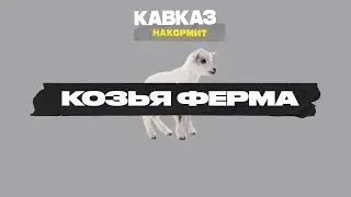 Кавказ накормит. Козья ферма