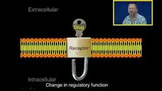 Introduction to Pharmacology