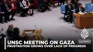 UN Security Council members frustrated by lack of progress on Gaza ceasefire