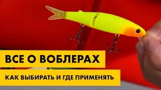 Все о воблерах - как выбрать, где применять, какие бывают