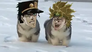 Puppy's Bizarre Adventure | Part 1