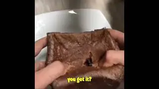 Brownie Bread Cat