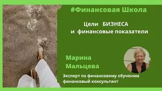 Цели бизнеса и финансовые  показатели, миссия компании, Быстрорастущий / Высокорентабельный бизнес