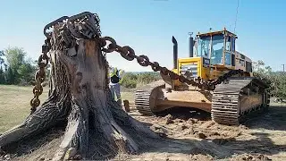 Dangerous Powerful Stump Removal Excavator Working, Incredible Wood Chipper Machines in Action #1