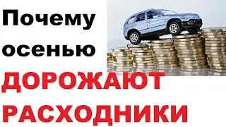 Моторные масла, фильтры и прочее дорожают каждую осень. Почему?