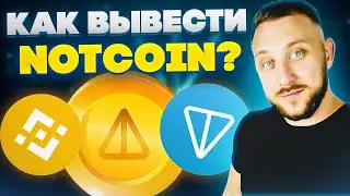 Как вывести NOTCOIN сегодня / Как застейкать / Как заработать