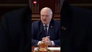 Лукашенко заявил, что Зеленский начинает его «цеплять» и «пристегивать»