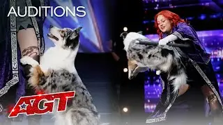 Adorable Dog Performs Incredible Tricks With Trainer - Americas Got Talent 2020