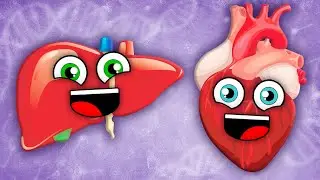 Learn About Things Your Body Does That You Don't Control! | Human Body Songs For Kids | KLT Anatomy