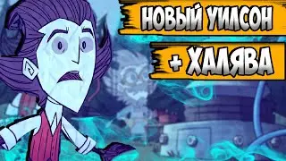 НОВЫЙ УИЛСОН + ТРЕЙЛЕР + ХАЛЯВА - Don't Starve Together| DST| ДСТ ГАЙД